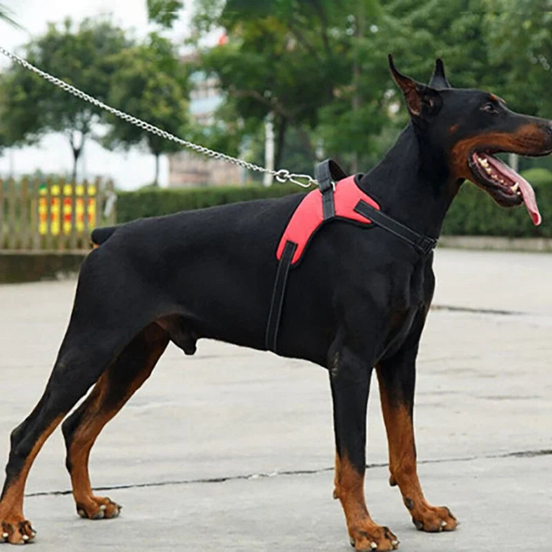 Justerbar Sele för husdjur som t.ex. hundar stora som små.