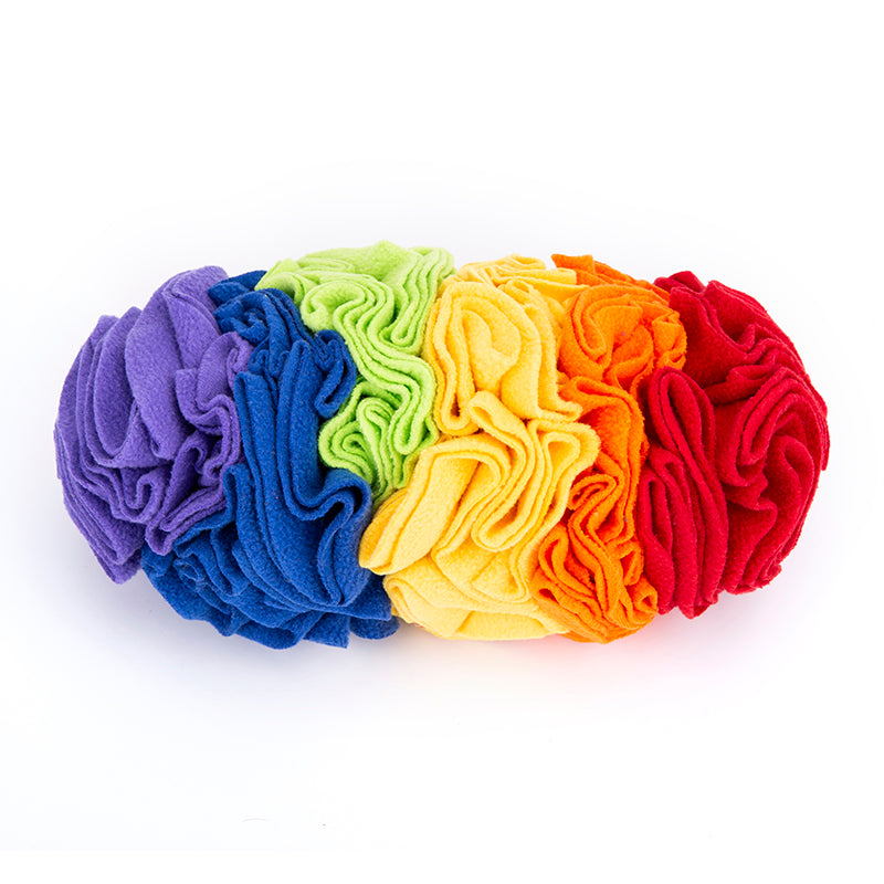 Hundar | Träning &amp; Mental Stimulans