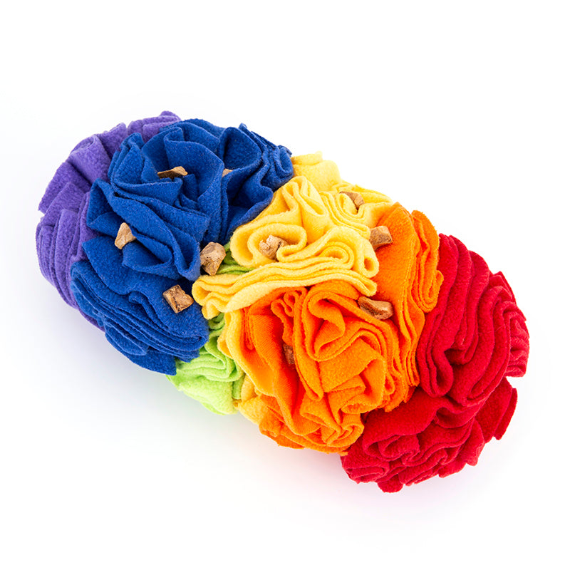 Hundar | Träning &amp; Mental Stimulans