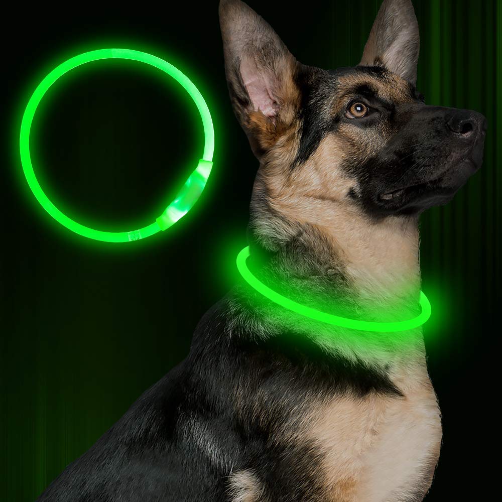 LED-halsband för Hund – Säkert och Synligt i Mörker