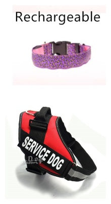 LED-halsband för Hund och Husdjur – Synlighet och Säkerhet i Mörker