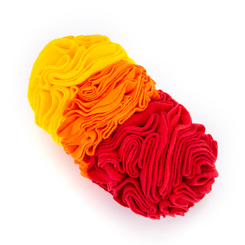 Hundar | Träning &amp; Mental Stimulans